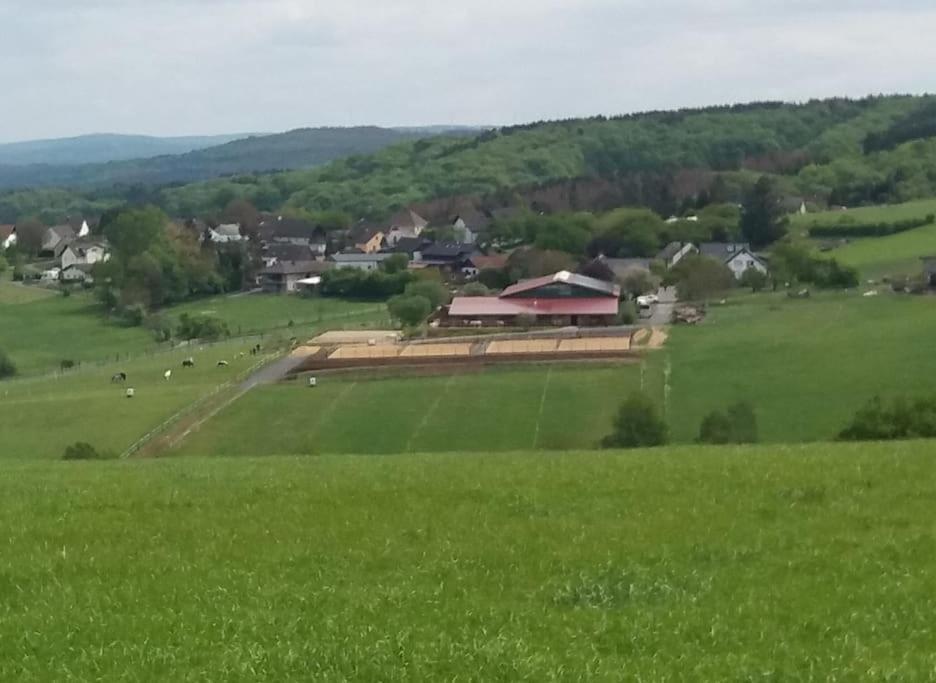 "Die Jockeysuite" Auf Unserem Reiterhof Birkenbeul Exterior foto